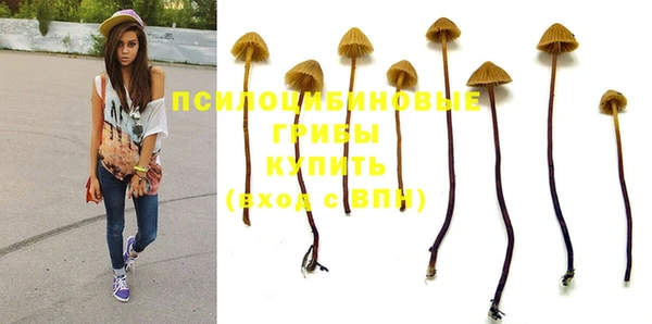 гидра Надым