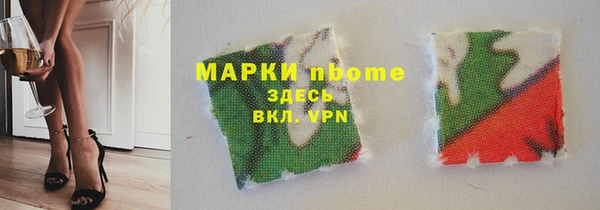 гидра Надым