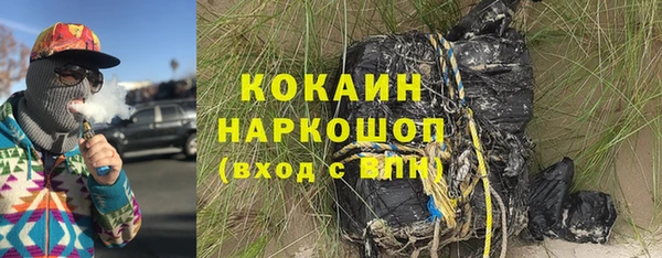 гидра Надым