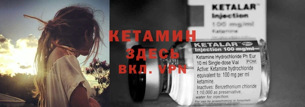 гидра Надым