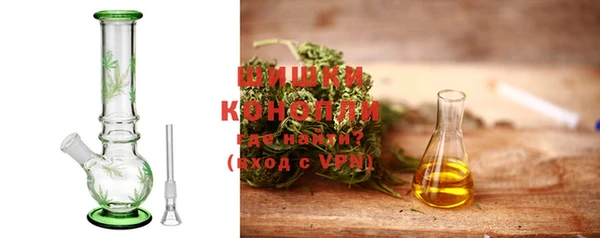 гидра Надым