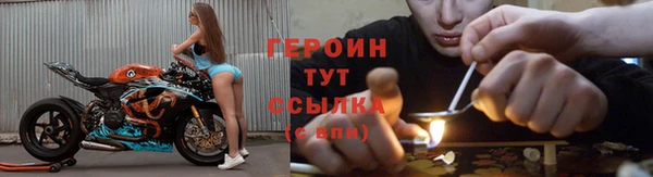 гидра Надым