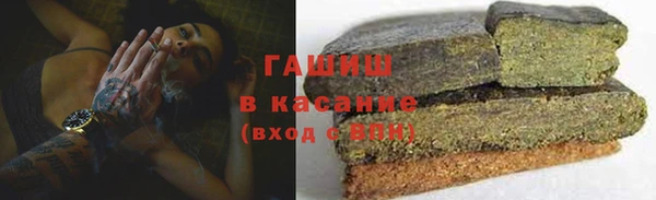 гидра Надым