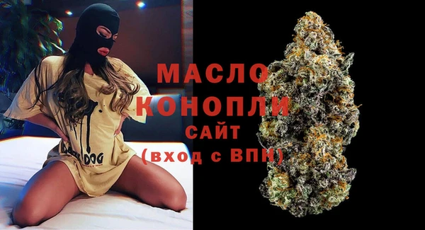 гидра Надым