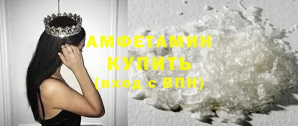 гидра Надым
