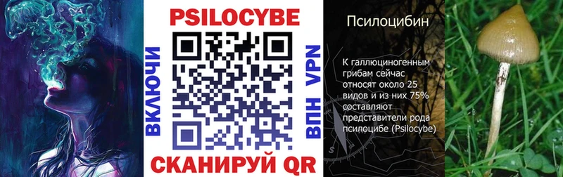 Псилоцибиновые грибы Psilocybine cubensis  хочу наркоту  Владикавказ 